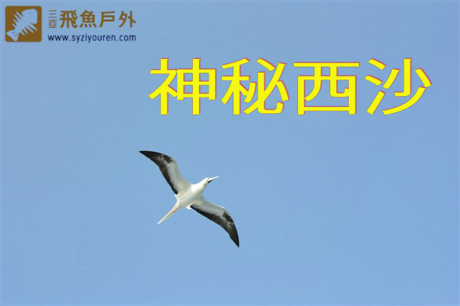 户外线路